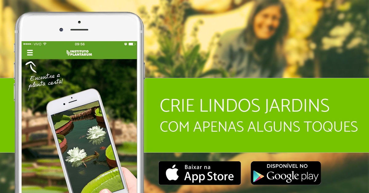 Apps – jogos favoritos – Mudamos para Fim Do Jardim